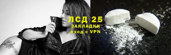 стаф Алексин