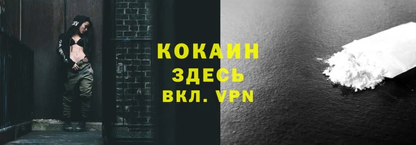стаф Дмитровск