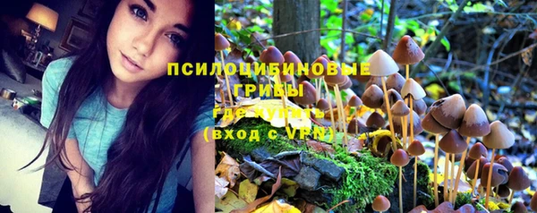 таблы Алексеевка