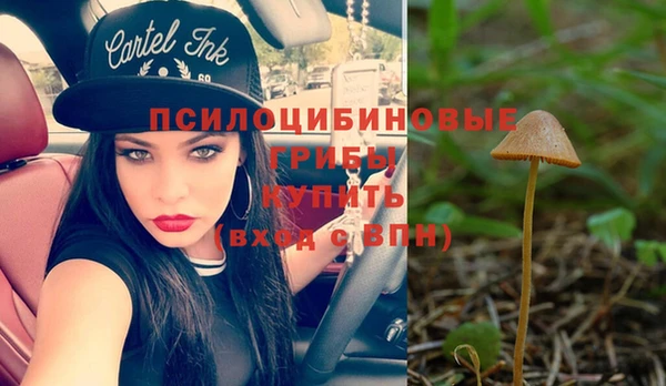 таблы Алексеевка