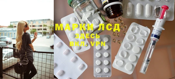 стаф Алексин